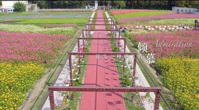 上海尚湾林语【2025年网站】百度百科-最火楼盘测评-房天下完美体育网站(图26)