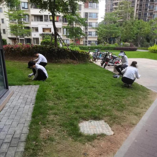 完美体育人民日报怒批物业管理乱象整顿刻不容缓把“权”交给老百姓！(图21)