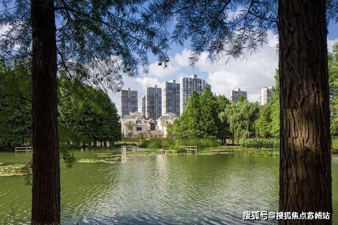完美体育网站售楼处电话)白塘壹号_白塘壹号热销TOP1_首页网站2025-楼盘百科-售楼处电话(图8)