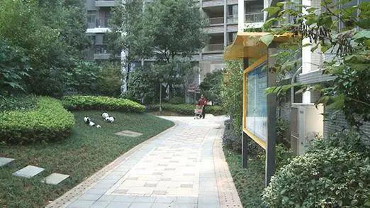 完美体育网站物业要全面取消？新规下业主有“3大权益”再不用交冤枉钱了(图9)