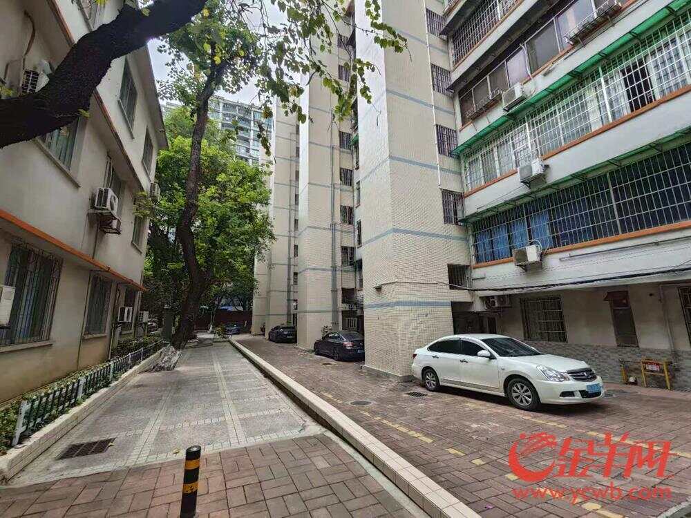 资金治理服务三管齐下完美体育网站海珠鹭江老旧小区焕新颜(图5)