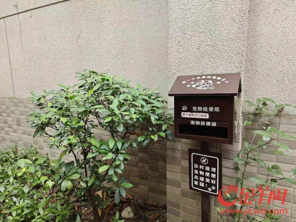 资金治理服务三管齐下完美体育网站海珠鹭江老旧小区焕新颜(图6)
