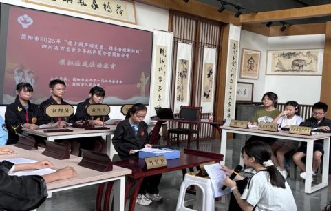 完美体育网站简阳：以“智治融合”重塑矛盾纠纷化解新生态(图6)